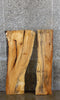 Thumbnail for 2- Spalted Maple Live Edge Split Board Slab Halves CLOSEOUT 4047