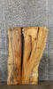 Thumbnail for 2- Spalted Maple Live Edge Split Board Slab Halves CLOSEOUT 4047