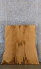 Thumbnail for 2- Live Edge Bookmatched White Oak Office Desk Top Slabs CLOSEOUT 4051-4052