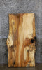 Thumbnail for Live Edge Spalted Maple Desk/Coffee Table Top Slab CLOSEOUT 4061