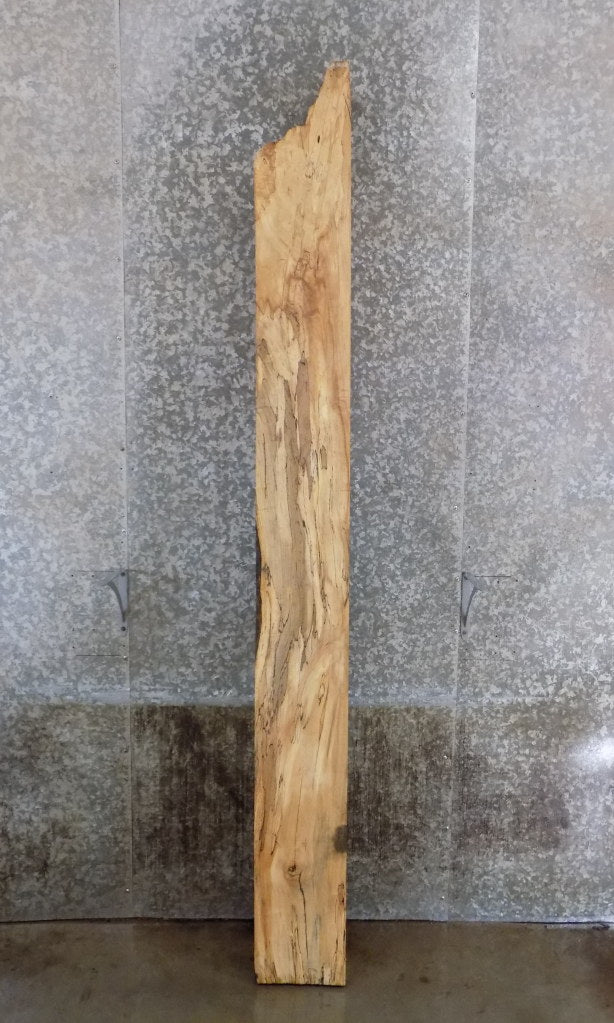 Maple Salvaged Thick Cut Mantel/Sofa Table Top Wood Slab 40773