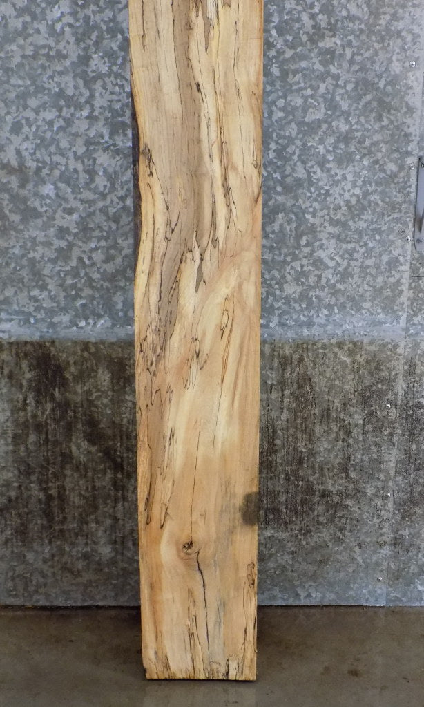 Maple Salvaged Thick Cut Mantel/Sofa Table Top Wood Slab 40773