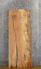 Thumbnail for Spalted Maple Partial Live Edge Table Top Slab CLOSEOUT 4108