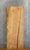 Thumbnail for Spalted Maple Partial Live Edge Table Top Slab CLOSEOUT 4108