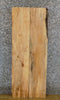 Thumbnail for 2- Maple Kiln Dried Salvaged Wall/Book Shelves/Lumber Boards 41272