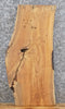 Thumbnail for Salvaged Live Edge Locust Vanity/End Table Top Wood Slab 4173