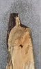 Thumbnail for Live Edge Spalted Maple Bar/Desk/Table Top Slab CLOSEOUT 42004