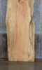 Thumbnail for Live Edge Spalted Maple Bar/Desk/Table Top Slab CLOSEOUT 42004