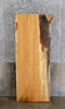 Thumbnail for Partial Live Edge Locust Rustic Reception Table/Desk Top Slab 42023