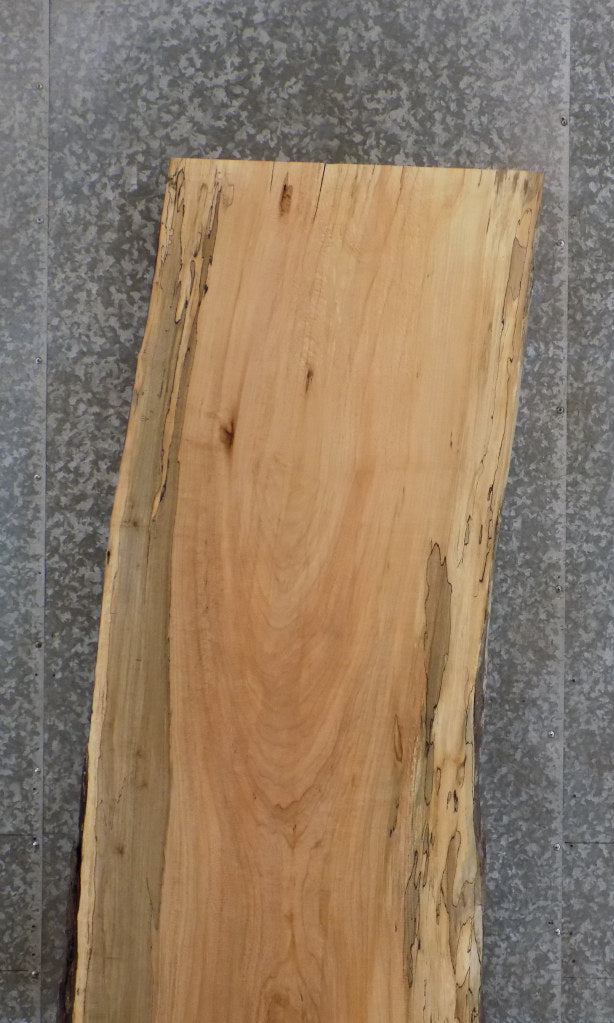 Live Edge Rustic Spalted Maple Bar/Desk/Table Top Slab 42059