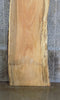 Thumbnail for Live Edge Rustic Spalted Maple Bar/Desk/Table Top Slab 42059