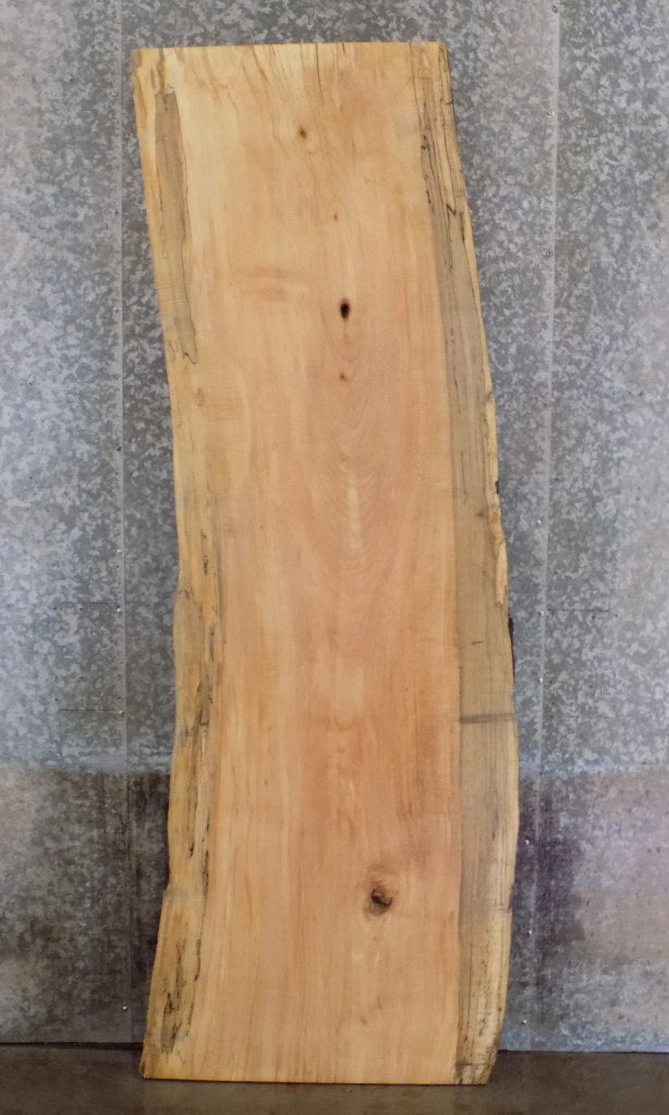 Live Edge Rustic Spalted Maple Bar/Desk/Table Top Slab 42059