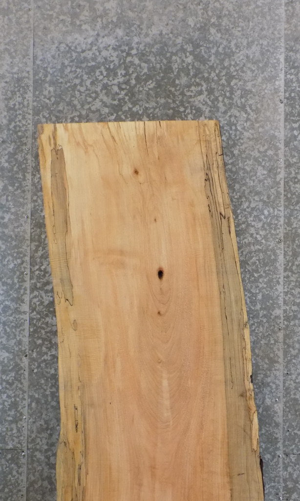 Live Edge Rustic Spalted Maple Bar/Desk/Table Top Slab 42059