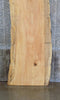 Thumbnail for Live Edge Rustic Spalted Maple Bar/Desk/Table Top Slab 42059