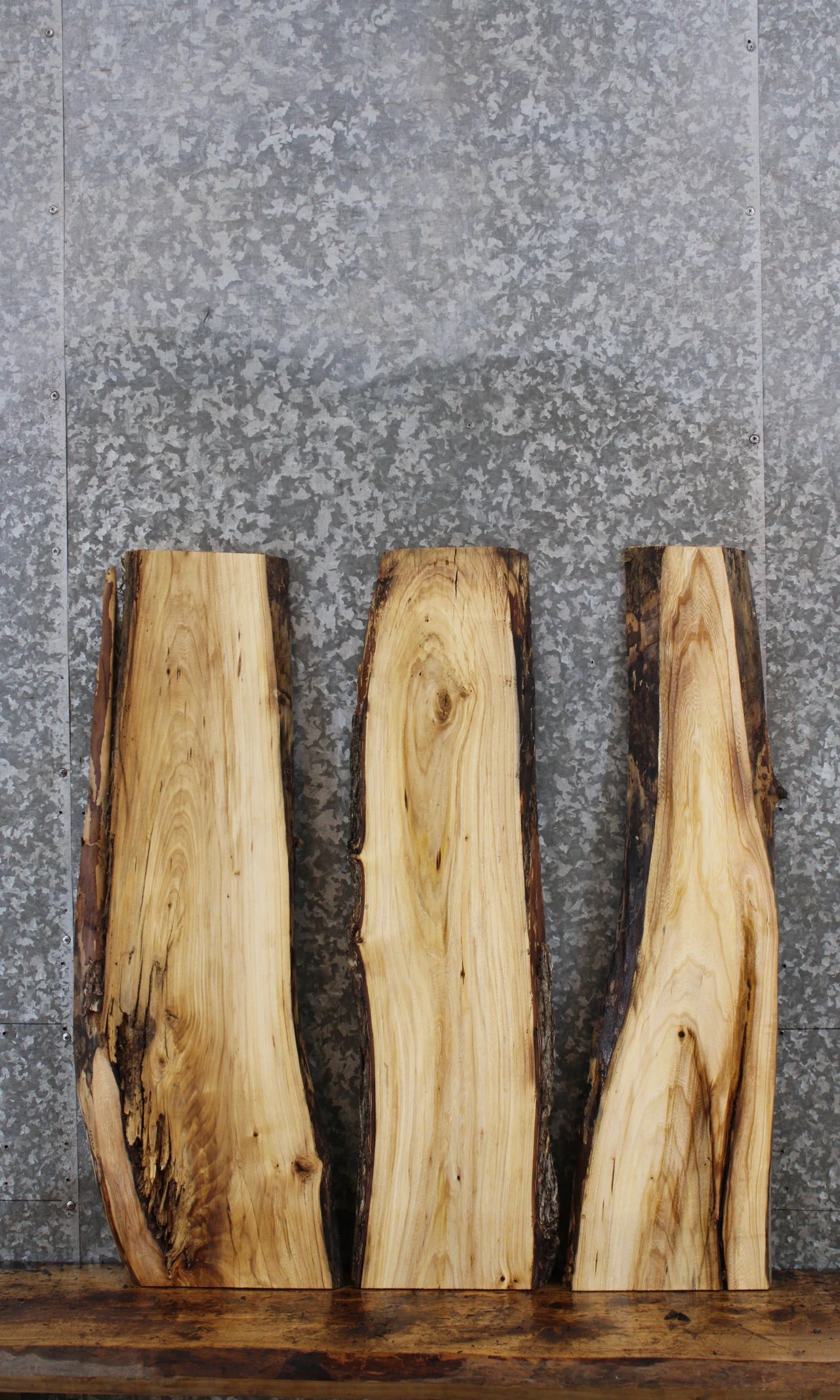 3- Live Edge Hickory Taxidermy Mount Slabs 4210-4212