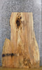 Thumbnail for Live Edge Spalted Maple Rustic Coffee Table Top Wood Slab 42113