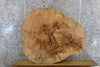 Thumbnail for Rustic Live Edge Ash Thick/Round Cut Coffee Table Top Slab 42121