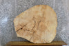 Thumbnail for Rustic Live Edge Ash Thick/Round Cut Coffee Table Top Slab 42121