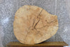 Thumbnail for Salvaged Live Edge Thick/Round Cut Ash Coffee Table Top Slab 42122