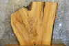 Thumbnail for Live Edge Bark Ash Coffee/Sofa Table Top Slab CLOSEOUT 42133