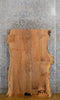 Thumbnail for Natural Edge Ash Rustic Coffee Table Top Slab CLOSEOUT 42171