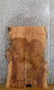 Thumbnail for Natural Edge Ash Rustic Coffee Table Top Slab CLOSEOUT 42171