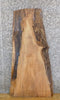 Thumbnail for Salvaged Live Edge Sycamore Coffee Table/Desk Top Wood Slab 42180