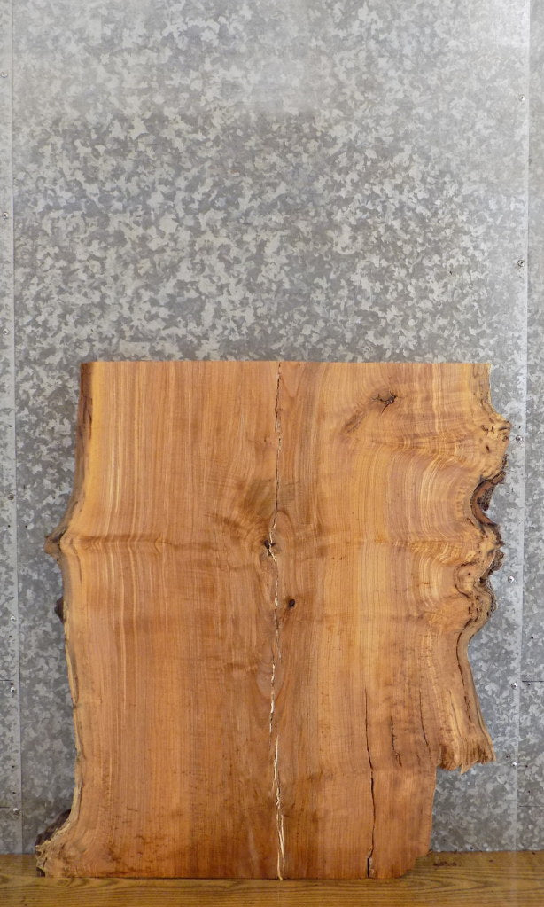 Live Edge Ash Epoxy Project/Table Top Wood Slab CLOSEOUT 42216