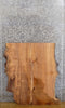 Thumbnail for Live Edge Ash Epoxy Project/Table Top Wood Slab CLOSEOUT 42216