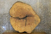 Thumbnail for 2- Live Edge Round Cut Ash Split Board Slab Halves CLOSEOUT 42226