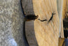 Thumbnail for 2- Live Edge Round Cut Ash Split Board Slab Halves CLOSEOUT 42226