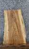 Thumbnail for Live Edge Ash End Table Top Slab 42246