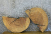 Thumbnail for 2- Round Cut Live Edge Ash Table Top Slabs 42248