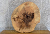 Thumbnail for Thick Cut Live Edge Ash Coffee Table Top Wood Slab CLOSEOUT 42262