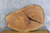 Thumbnail for 2- Live Edge Oval Cut Ash Split Board Slab Halves CLOSEOUT 42295