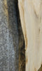 Thumbnail for Live Edge Ash Sofa/Coffee Table Top Wood Slab CLOSEOUT 42308