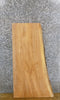 Thumbnail for Partial Live Edge Ash Rustic End/Side Table Top Wood Slab 4265