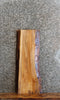 Thumbnail for Live Edge Spalted Maple Sofa/Side Table Top/Wall Shelf 4267