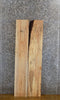 Thumbnail for 2- Maple Kiln Dried Reclaimed Lumber Boards/Book Shelf Slabs 43051