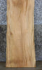 Thumbnail for Live Edge Sycamore Sofa/Coffee Table Top Wood Slab CLOSEOUT 4321