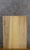 Thumbnail for 3- Kiln Dried Rustic Hackberry Lumber Boards/Wood Shelf Slabs 43497