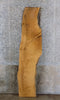 Thumbnail for White Oak Salvaged Live Edge Desk Top Wood Slab CLOSEOUT 4408