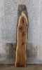 Thumbnail for Natural Edge Black Walnut Rustic Sofa/Accent Table Top Slab 4441