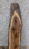 Thumbnail for Natural Edge Black Walnut Rustic Sofa/Accent Table Top Slab 4441