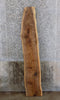 Thumbnail for Natural Edge Black Walnut Rustic Sofa/Accent Table Top Slab 4441