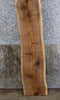 Thumbnail for Natural Edge Black Walnut Rustic Sofa/Accent Table Top Slab 4441