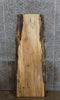 Thumbnail for Live Edge Spalted Maple Coffee Table/Desk Top Slab CLOSEOUT 4448