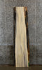 Thumbnail for Rustic Spalted Maple Bar/Table Top Wood Slab CLOSEOUT 4461