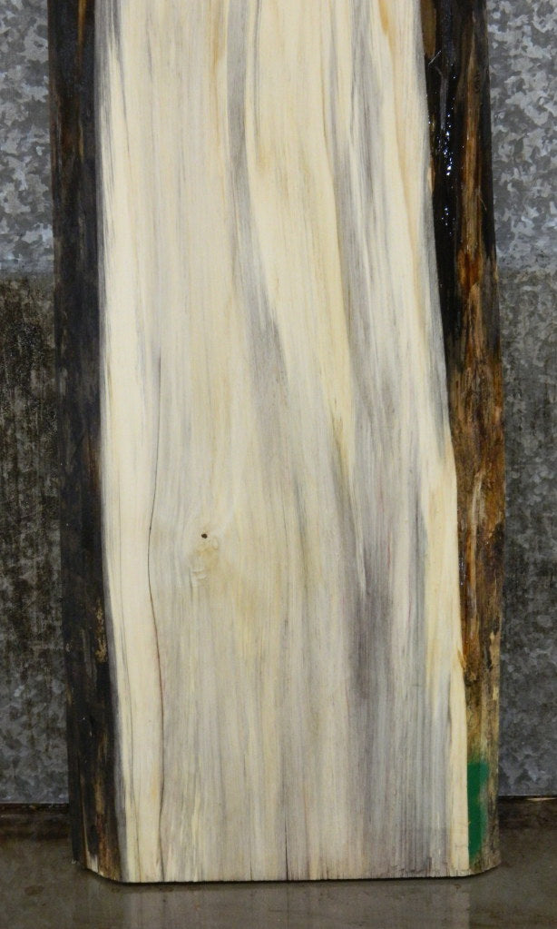 Rustic Spalted Maple Bar/Table Top Wood Slab CLOSEOUT 4461