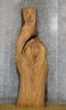 Thumbnail for Rustic Live Edge Elm Sofa/Coffee Table Top Wood Slab 4481